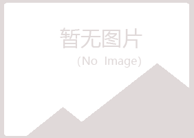 日照岚山陌路水泥有限公司